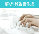 解析・報告書作成
