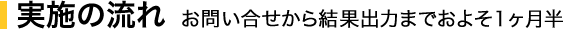 実施の流れ　お問い合せから結果出力までおよそ1ヶ月半